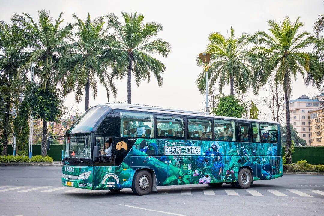Lợi nhuận tăng 30%, xe buýt Yuzhong hỗ trợ Tây Song Bản Nha 